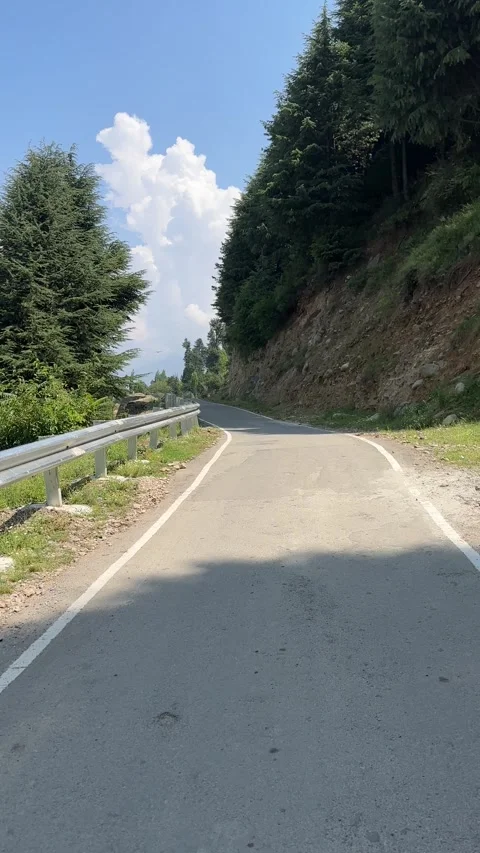 Peaceful Mountain Road Through Pine Forests in Ganderbal, Kashmir Stock Footage 344640002