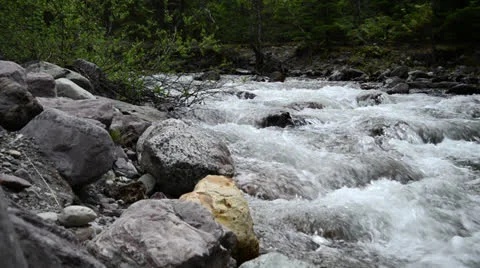 Peaceful Mountain Stream at Dusk Stock Footage 24587123