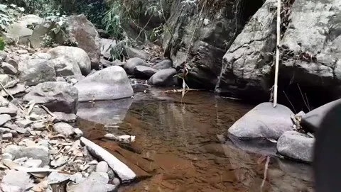 Peaceful Mountain Stream Flowing Between Large Rocks in Tropical Forest 4K Видео 343078322