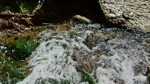 Peaceful Mountain Stream Flowing Over Mossy Rocks in a Natural Forest Vídeos de archivo 343602735