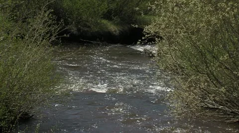 Peaceful Mountain Stream 動画素材 11121828