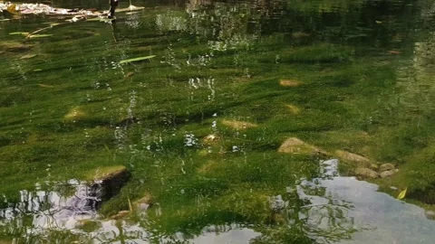 Peaceful mountain stream Stock Footage 299930848