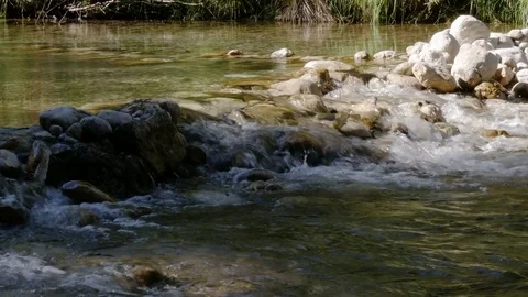 A peaceful mountain stream in the forest - 4K Stock Footage 79637332