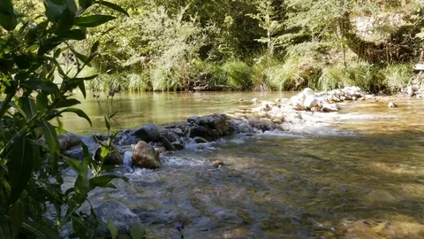 A peaceful mountain stream in the forest - 4K Stock Footage 79637739