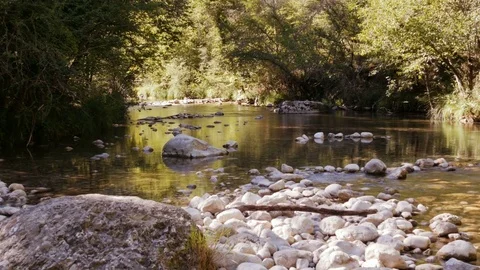 A peaceful mountain stream in the forest - 4K Stock Footage 79638909