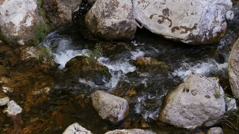 A peaceful mountain stream in the forest - 4K Stock Footage 79640322