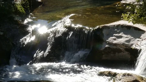 A peaceful mountain stream in the forest - 4K Stock Footage 81744049