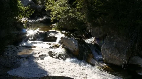 A peaceful mountain stream in the forest - 4K Stock Footage 81746030