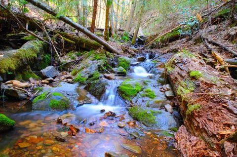 Peaceful mountain stream Stock Photos