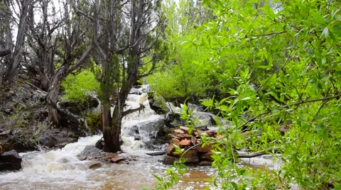 Peaceful Mountain Waterfall Stock Footage 50117085