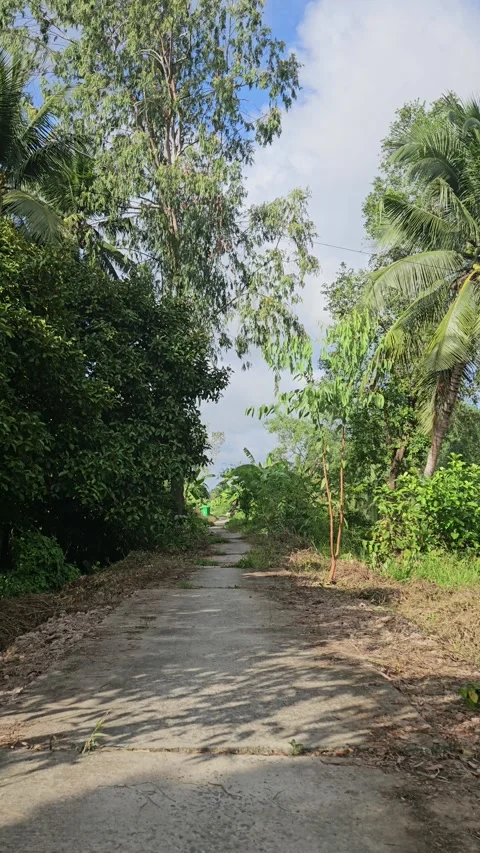 Peaceful narrow country path surrounded by lush tropical vegetation in Vietnam. Stock Footage 340501017