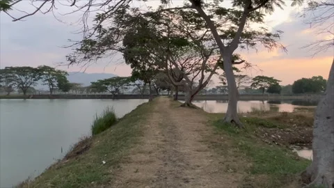 Peaceful nature landscape with walking path between two lakes at sunset 스톡 동영상 336453403