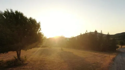 Peaceful Nature View with Trees and Warm Golden Hour Light Stock Footage 337305586