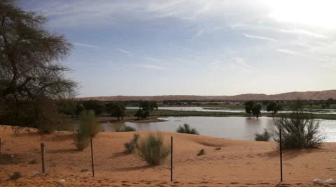 Peaceful Oasis 스톡 동영상 68004759