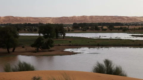 Peaceful Oasis 스톡 동영상 68004957