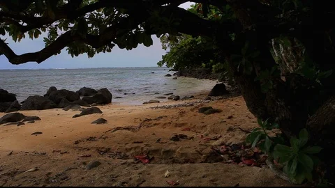 Peaceful Ocean Cove Stock Footage 104271298