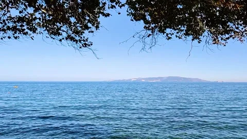 Peaceful Ocean Landscape View with Distant Island and Tree Branch Framing Stock Footage 345278288