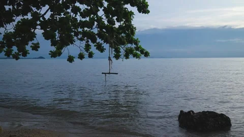Peaceful Ocean View with Hanging Tree Swing Stock Footage 291521727
