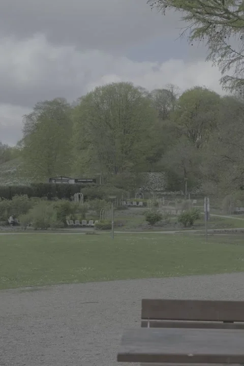 Peaceful Park Landscape 動画素材 337108564