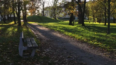 Peaceful park path with autumn trees, peaceful air glows with warmth, peace.. Stock Footage 320738787