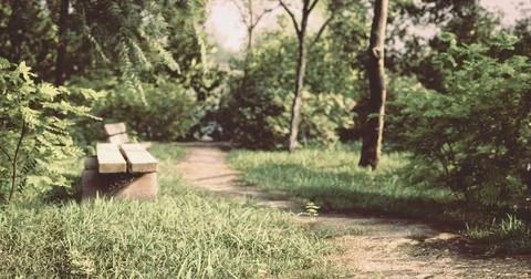 Peaceful park path with a bench surrounded by lush greenery in summer Ilustração Stock