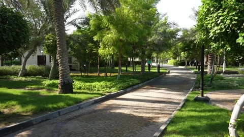 Peaceful park path Stock Footage 331165162