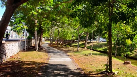 Peaceful Park Path with Stream Stock Footage 328478152