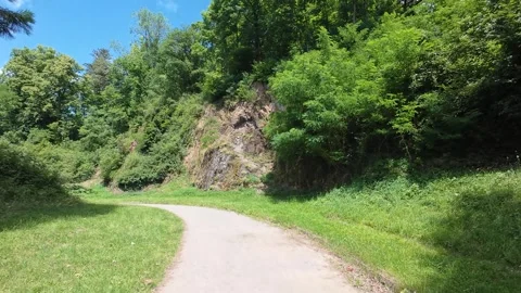 Peaceful Park Path Surrounded by Lush Green Trees on a Sunny Summer Day Stock Footage 339677401