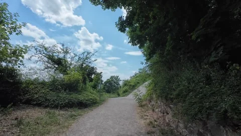 Peaceful Park Path Surrounded by Lush Green Trees on a Sunny Summer Day Stock Footage 339677538