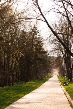 A peaceful park pathway winds through a wooded landscape with tall trees, green Stock Photos