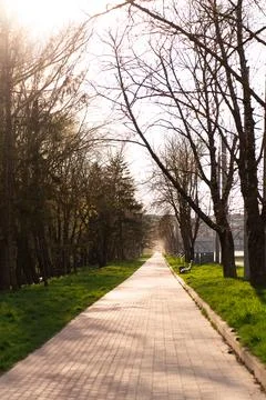 A peaceful park pathway winds through a wooded landscape with tall trees, green Stock Photos