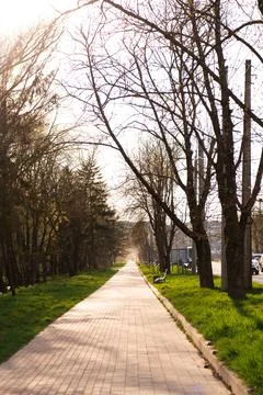A peaceful park pathway winds through a wooded landscape with tall trees, green Stock Photos