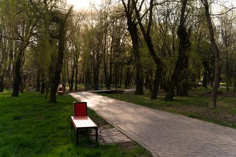 A peaceful park pathway winds through a wooded landscape with tall trees, green Stock Photos