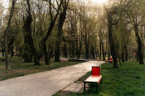 A peaceful park pathway winds through a wooded landscape with tall trees, green Stock Photos