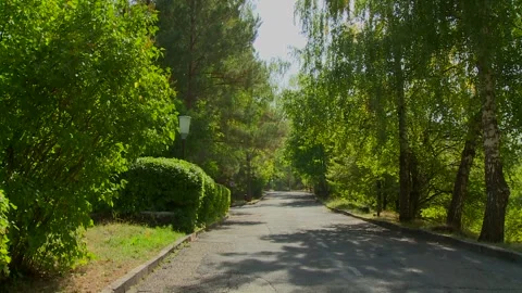 Peaceful Park Road in Summer Stock-Footage 306321894