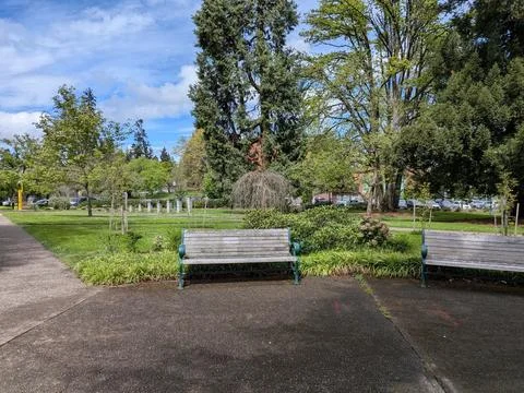 A peaceful park setting features two benches beside green grass Stock Photos