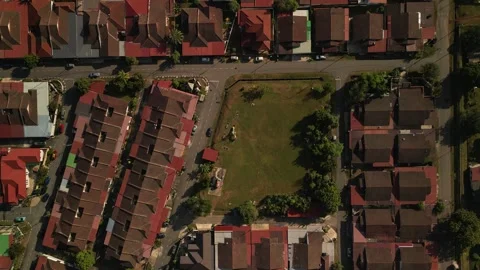 Peaceful park views with trees, sunlight, clouds, and aerial nature scenes. Stock Footage 312477486