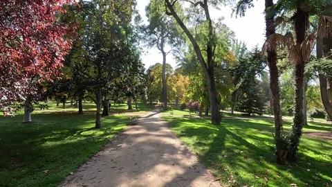Peaceful path in a park in autumn Stock Footage 292403120