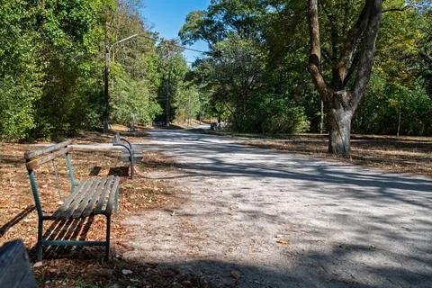 Peaceful path in the park. Stock Photos