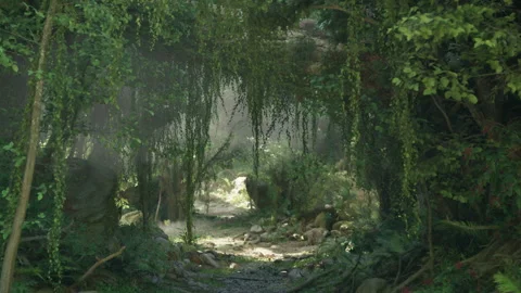 A peaceful pathway surrounded by lush green trees in a serene forest setting Vídeos de archivo 252321715