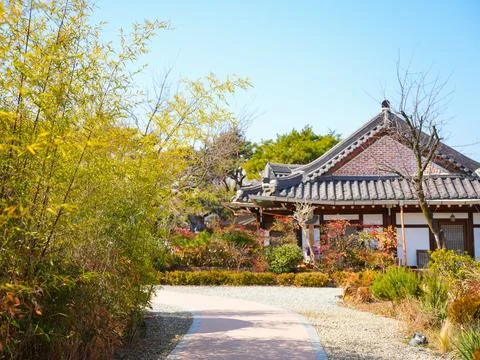 Peaceful Pathway Through Bamboo Forest and Traditional Korean Hanok House Stock Photos