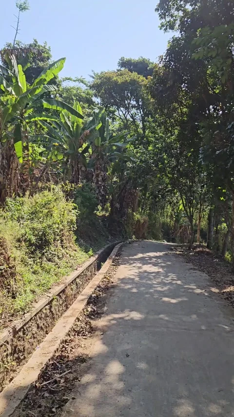 Peaceful Paved Road Stock Footage 346566398