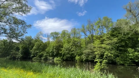 Peaceful Pond with Beautiful Tree Reflections in Amsterdam Forest, Netherlands Stock-Footage 343015829