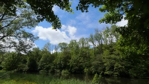 Peaceful Pond with Beautiful Tree Reflections in Amsterdam Forest, Netherlands Stock Footage 343015855
