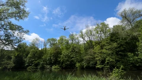 Peaceful Pond with Beautiful Tree Reflections in Amsterdam Forest, Netherlands Stock-Footage 343015881