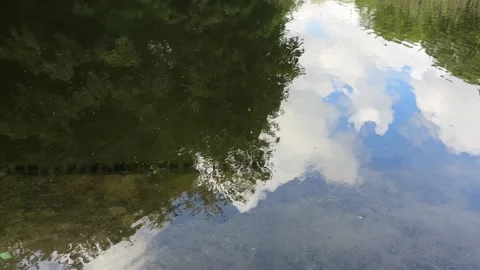 Peaceful Pond with Beautiful Tree Reflections in Amsterdam Forest, Netherlands 動画素材 343016446