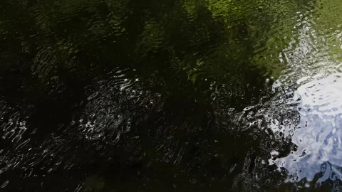 Peaceful Pond with Beautiful Tree Reflections in Amsterdam Forest, Netherlands Video stock 343026309