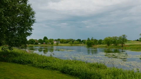 Peaceful pond surrounded by green trees under a cloudy sky. Scenic landscape Stock Footage 338319035