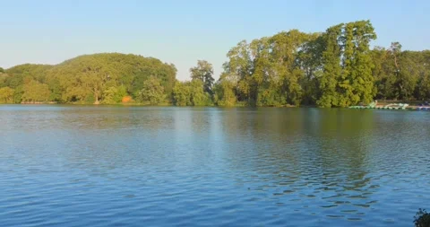 Peaceful pond surrounded by trees in Parc de la Tête d'Or during a sunny Stockbeeldmateriaal 284907524