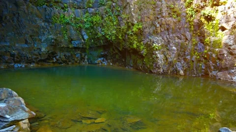 Peaceful Pool in a Tropical Wilderness Stock-Footage 53412680